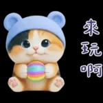 可愛小花貓超能幹的啦❤