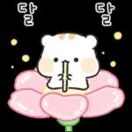 아기람꾸 : 벚꽃 에디션