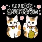 冬の毎日と年末年始☆猫たちのスタンプ２