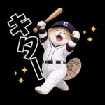 野球をする猫