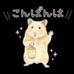 ゴールデンハムスター♡キンクマ