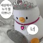 뭐 되는 베베와 멜롱이 짤.zip2