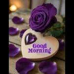 Good Night Sweet Dreams