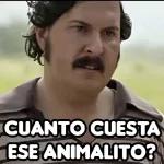 chao