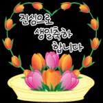 가정의 달 꽃 선물