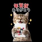 毎年使える♪リアルなにゃんこの年末年始