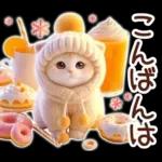 冬の猫のスコティッシュ【よく使う言葉】