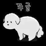 또리는 소심하지만 참지않지