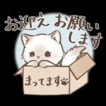 毎日使える♡大人可愛いガーリーキャット2