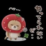 おひとよしネコチャン⭐️3Dフロッキー 1