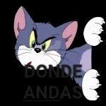 DONDE ANDAS