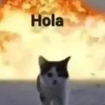 Hola