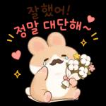 햄찌와 함께하는 포근한 하루