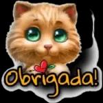 Meme Brasileiro 12093