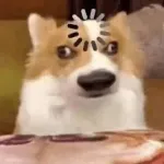 AAAAAAAAAAA