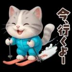 毎年使える冬と正月♡ほっこり猫たちの日常