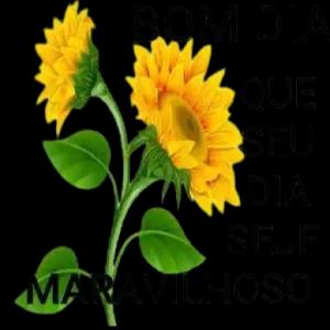 BOM DIA QUE SEU DIA SEJE MARAVILHOSO - getsticker.com