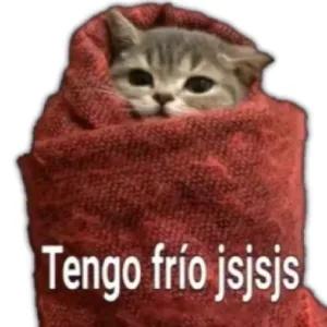 Tengo frío jsjsjs - getsticker.com