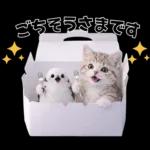 仲良し♡シマエナガと子猫ちゃん