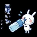 毎日使える夏☆ほぼ白うさぎ