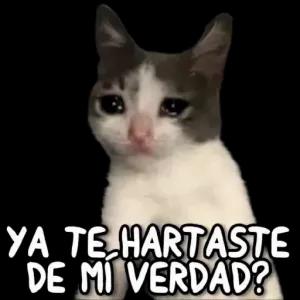 YA TE HARTASTE DE MI VERDAD? - getsticker.com