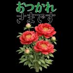 5月 春の花 大きくて見やすい挨拶スタンプ