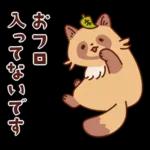 imananishiteru tanuki