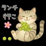 猫がいっぱい♡ふんわり可愛い秋＆冬