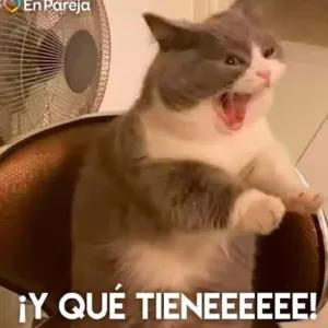 ¡Y QUÉ TIENEEEEEE! - getsticker.com