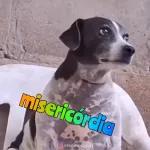 ESTOU EM CRISE EXISTENCIAL! ME DEIXA!!