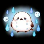 春のシマエナガ♪