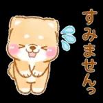 会社を辞めたい❤️いやしばいぬ❤️柴犬敬語