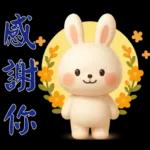 可愛白兔-實用短語