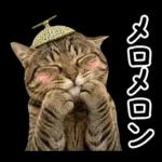 キジトラ猫飼いさんのダジャレ