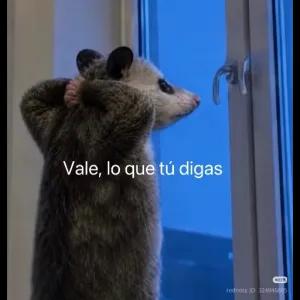 Vale, lo que tú digas - getsticker.com
