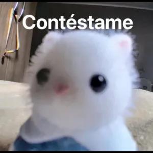 Contéstame - getsticker.com