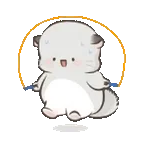 四毛與八毛 軟萌萌的小日常11