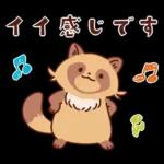 imananishiteru tanuki