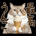 うんこ★リアルな猫