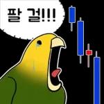 투자 전문가, 껄무새