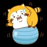 まんまるラスカル☆ヘルシーになろう