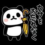 ぶなんなパンダ／お天気