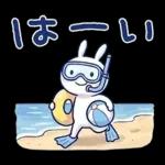 毎日使える夏☆ほぼ白うさぎ