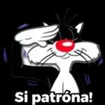 Si patrona!