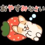 Pop-Up! Corgi's Spring Reply Sticker