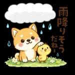 スタンプ・しば犬の梅雨だより