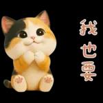 小花貓來嘍來嘍！