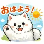 超かわいいサモエド犬の日常 普段使いに！