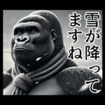 【冬】イケメンゴリラ