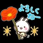 うさぎさん 春・梅雨・初夏